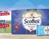 Scottex