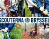 Scouterna Bryssel