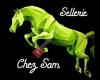 Sellerie Chez Sam