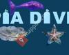 Sepia Divers vzw