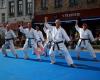 Shotokan Karate Mechelen
