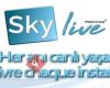 Skylive Media Group
