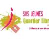 SOS Jeunes-Quartier Libre AMO