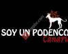 Soy un Podenco