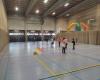 Sportcentrum De Mispelaer