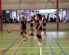 Sporthal Varsenare Volleybal Slovo Volley Brugge