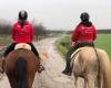 Stal steenke