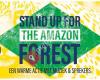 Stand Up for the Amazon Forest