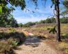 Start Wandelingen Mechelse Heide - de Salamander