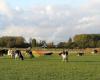 Steenberghoeve