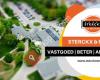 Sterckx & Partners Vastgoed