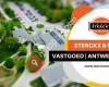 Sterckx & Partners Vastgoed - kantoor Antwerpen