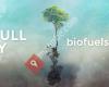 Stop Bad Biofuels