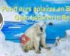 Stop Ours Polaires Belgique/Stop Ijsberen België