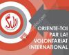 Svi Asbl - Service Volontaire International
