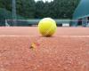 Tennis- en Padelclub De Jonge Wingerd