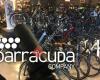 The Barracuda Company