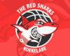 The Red Sharks