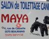 Toilettage Maya