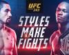 UFC 243 live 2019