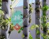 Urban Smart Farm by Smart Farmers