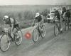 Van Maes tot Merckx