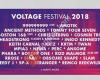 Voltage Festival