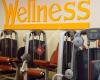 Wellness Fitness Center Bruxelles