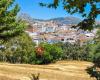 White Homes Andalucia