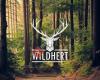 WILDHERT