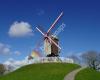 Windmolen De Nieuwe Papegaai